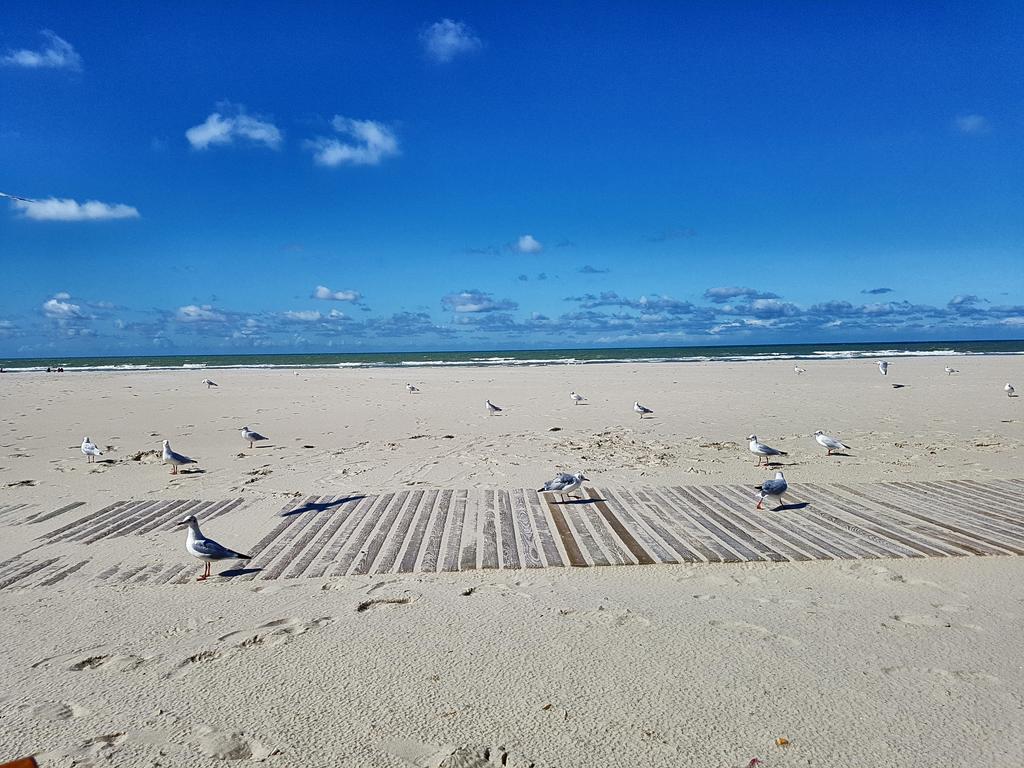 Les Fruits De Mer, Terrasse Sud, Parking Gratuit, Calme Et Tout A Pied Berck Exterior photo